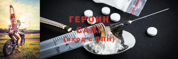 тгк Гусев