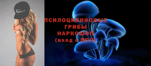 тгк Гусев