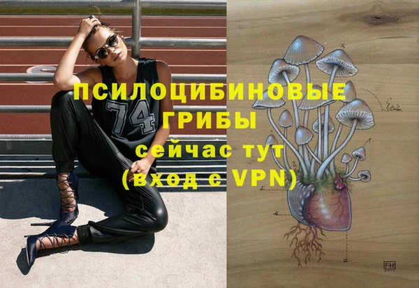 тгк Гусев