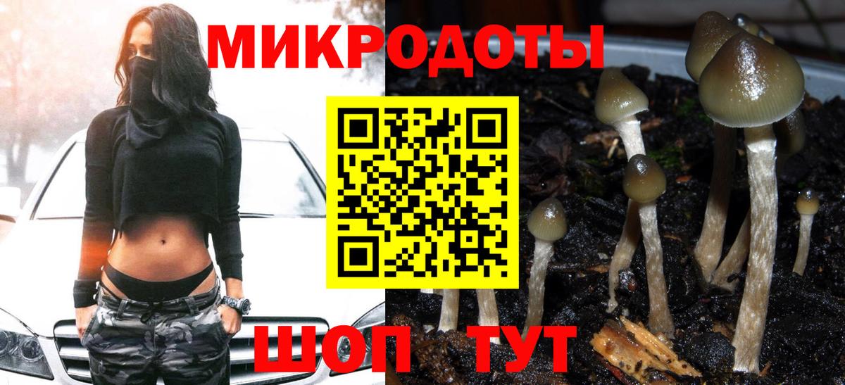 Псилоцибиновые грибы Cubensis  Вход с VPN  Дедовск 